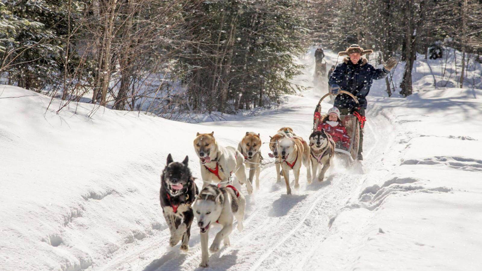 Outdoor Activities Paradise | Visit Québec City