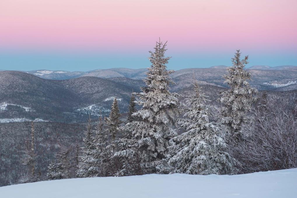 Panorama enneigé, vu à partir du sommet d'une montagne. 