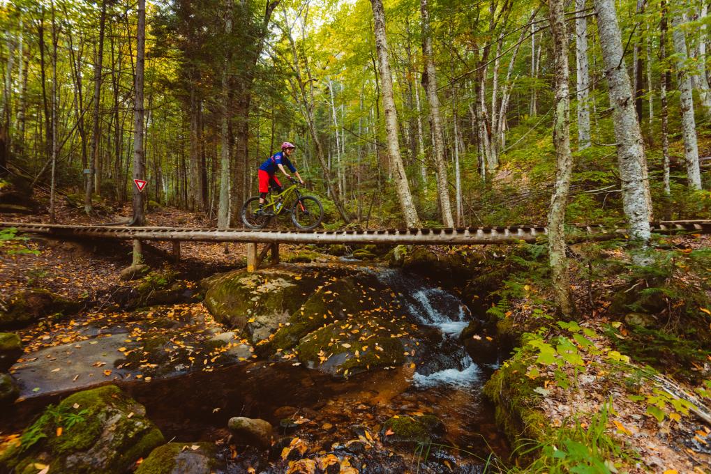 mont sainte anne mountain biking