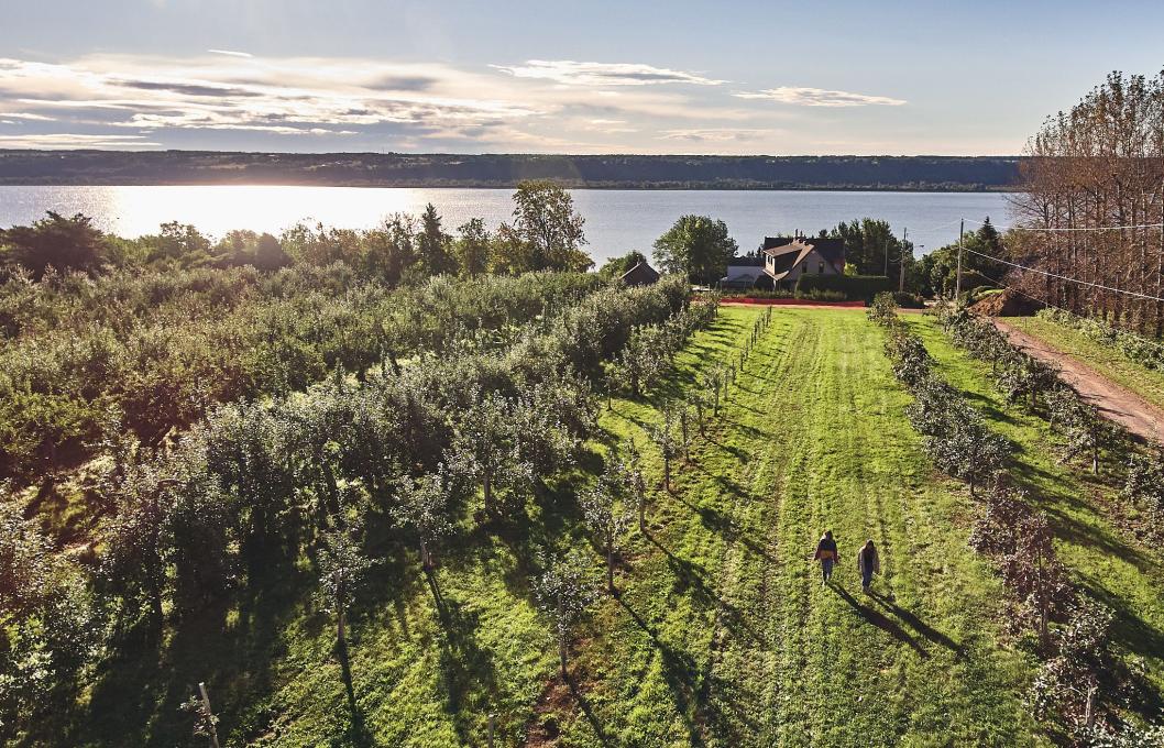 Vignoble de l'Ange-Gardien