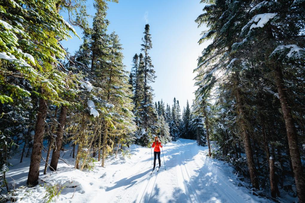 Ski de fond au Camp Mercier