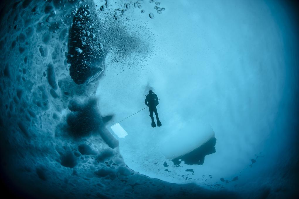 Sous les glaces arctiques