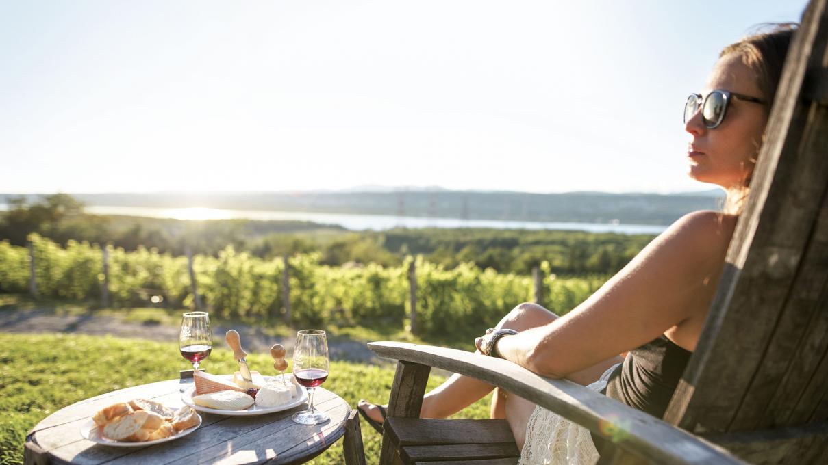 Vignoble sur l'Île d'Orléans