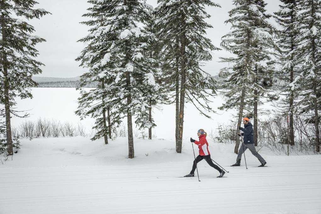 Ski de fond au Camp Mercier