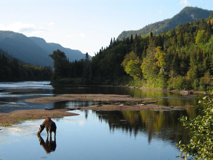 Parc national de la Jacques Cartier S paq Visit Qu bec City