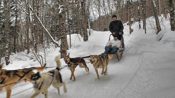 Centre récréotouristique des Hautes Terres - Randonnée en traîneau à chiens