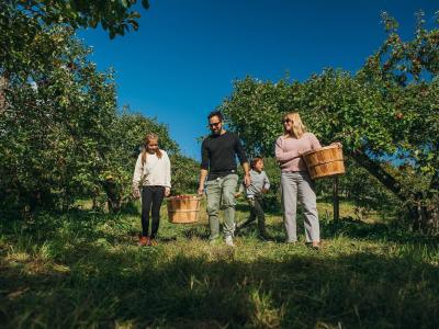 Famille qui cueille des pommes