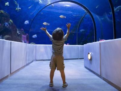 Aquarium du Québec - Grand Ocean