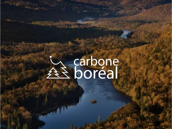 Carbone boréal