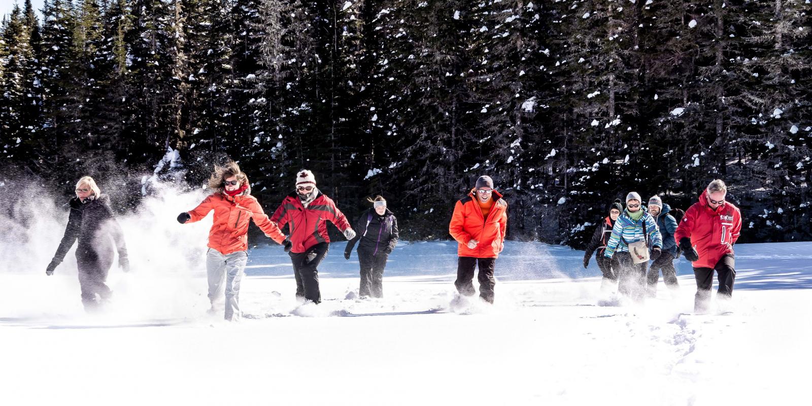February 12 is NWT Ski Day and Costume Ski!