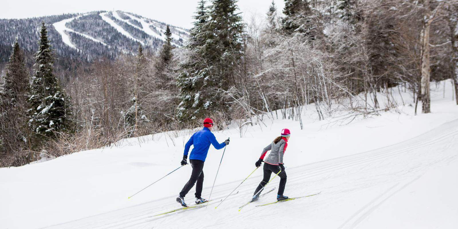 Best Cross-Country Skiing in Québec City
