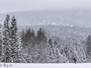 Centre de ski de fond Stoneham - Photo de Ski de fond Stoneham