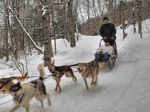 Centre récréotouristique des Hautes Terres - Randonnée en traîneau à chiens