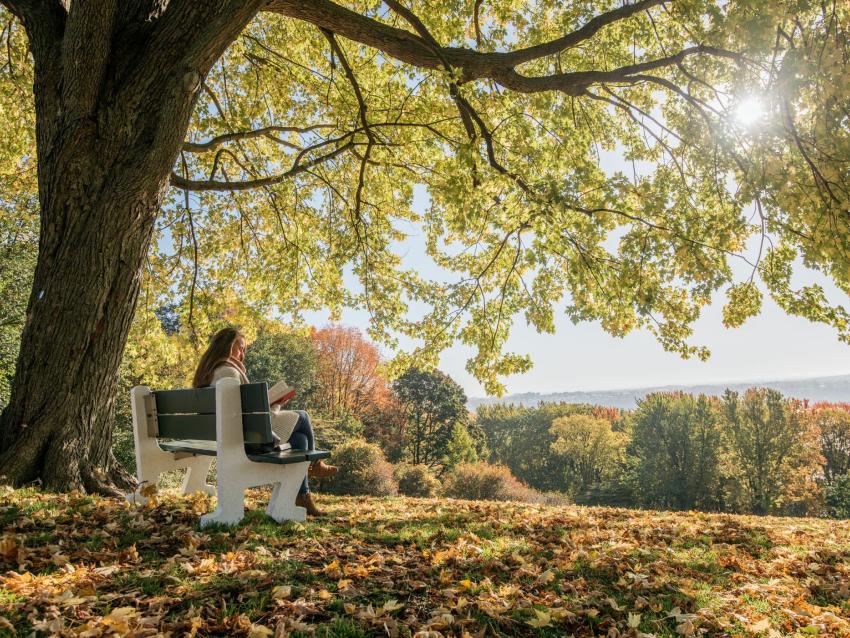 Plaines d'Abraham en automne