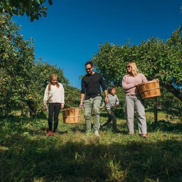 Famille qui cueille des pommes