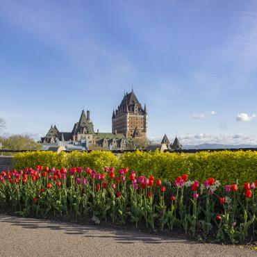 Vue sur le Château Frontenac avec des tulipes